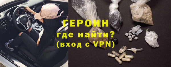 индика Инсар