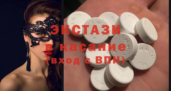 индика Инсар