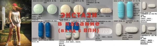 индика Инсар
