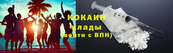 индика Инсар