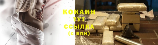 метадон Инта