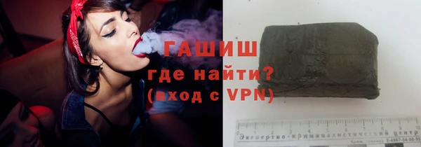 индика Инсар