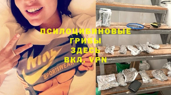 индика Инсар
