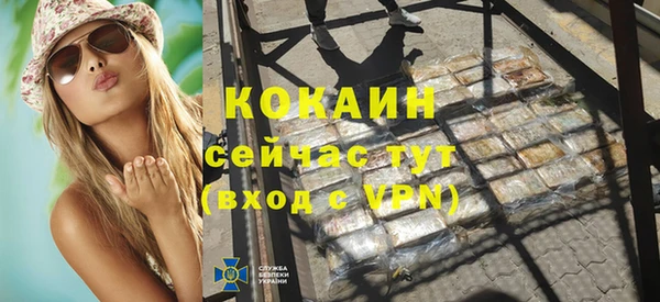 индика Инсар