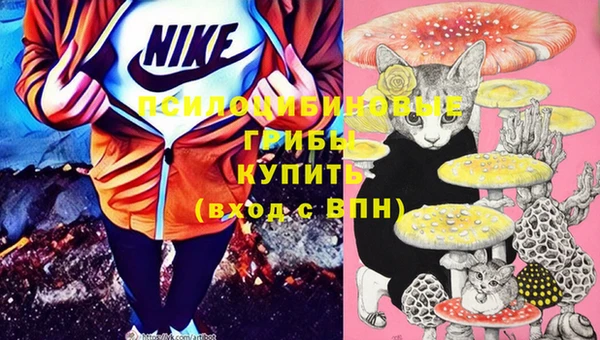 метадон Инта