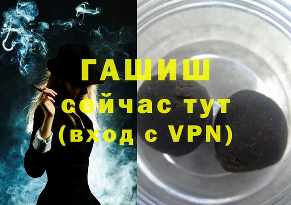 индика Инсар