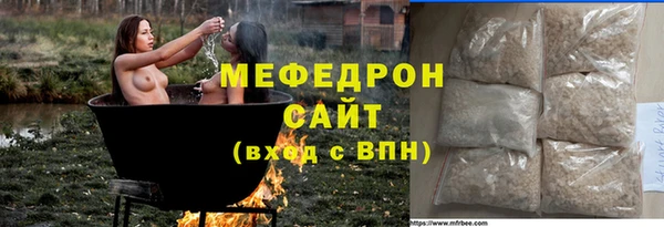 индика Инсар