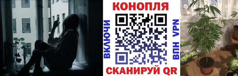 Купить закладки  Лагань  Каннабис план 